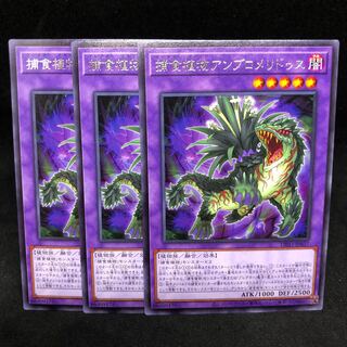 1枚30円 DIFO 捕食植物アンブロメリドゥス レア JP037