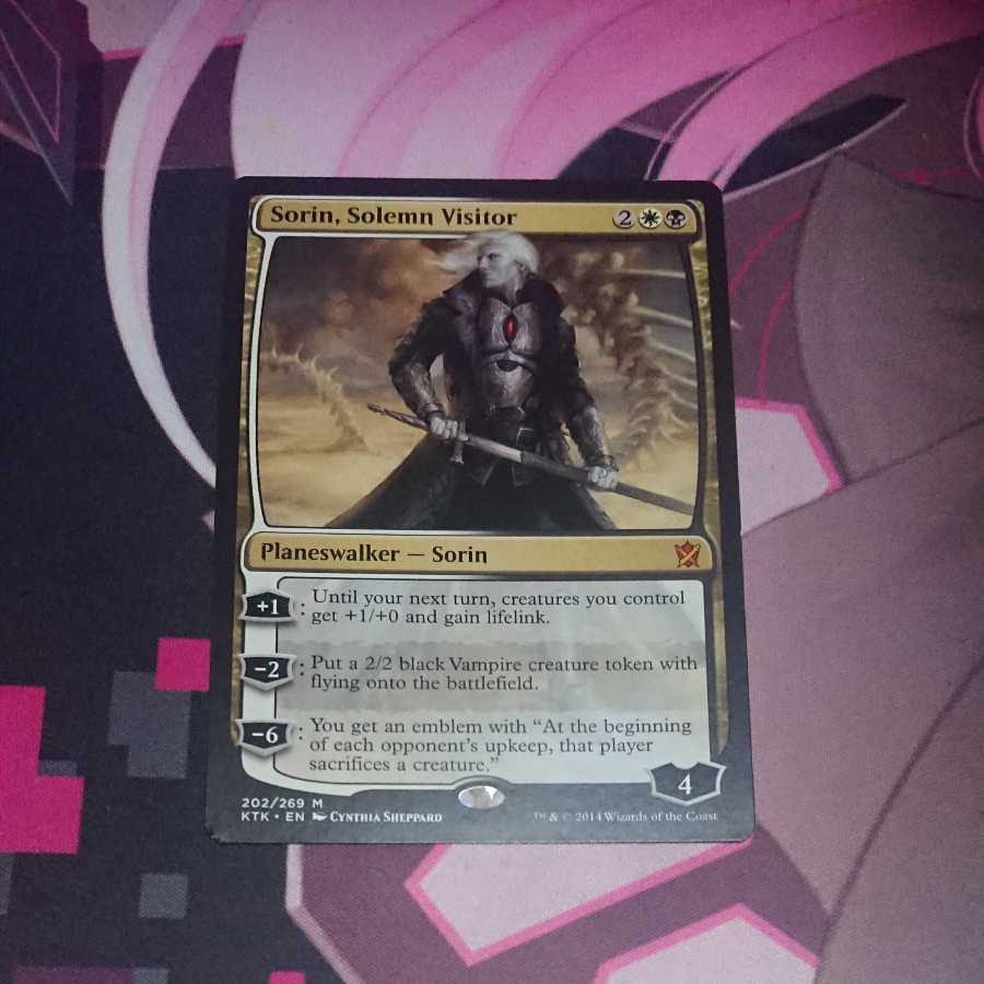 真面目な訪問者、ソリン