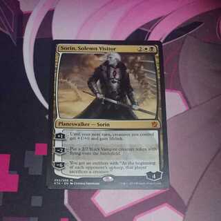 真面目な訪問者、ソリン