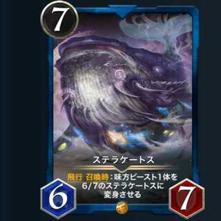 ２枚セット ステラケートス