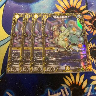 Knight of the Shield of the Absolute."