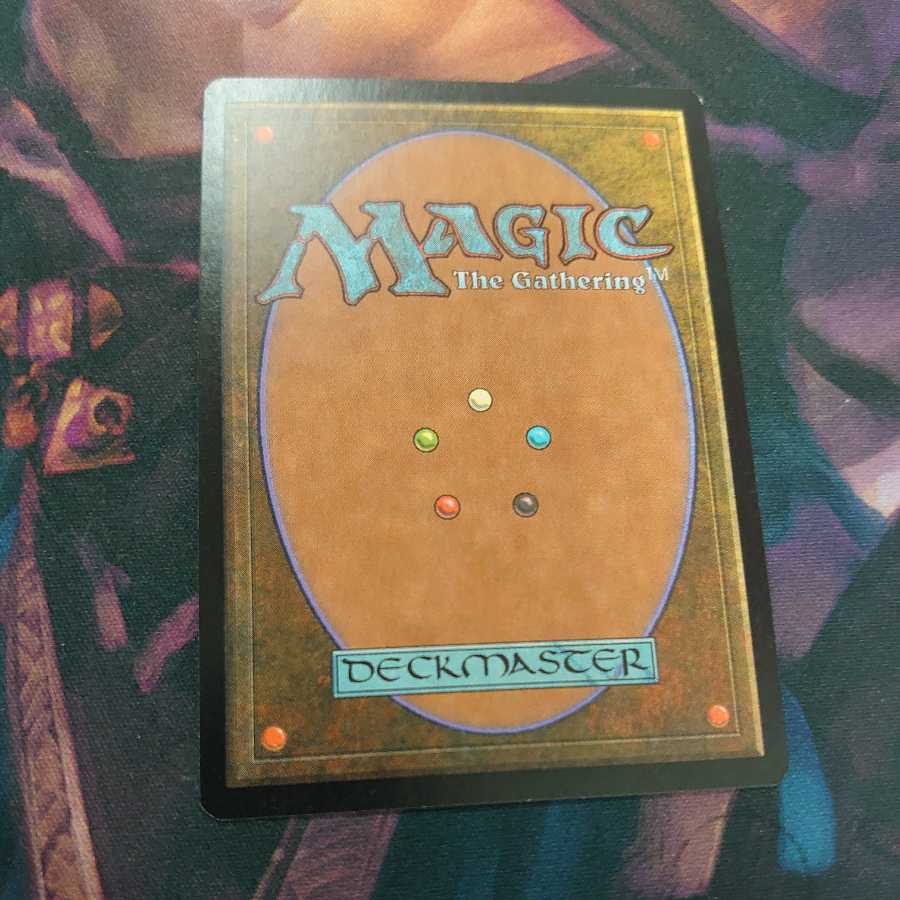 Academy Rector Other languages