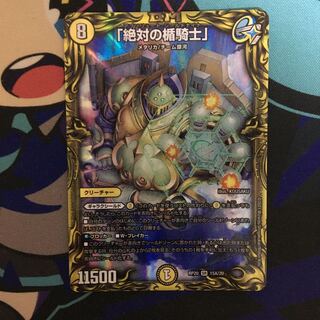 Knight of the Shield of the Absolute."