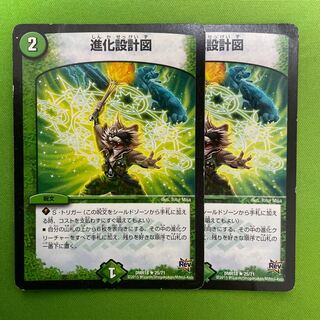 進化設計図　2枚