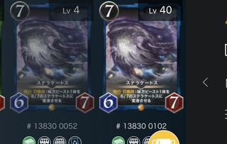 ステラケートス2枚