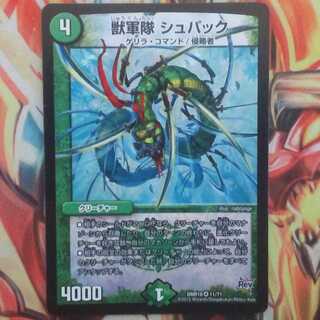 獣軍隊 シュパック