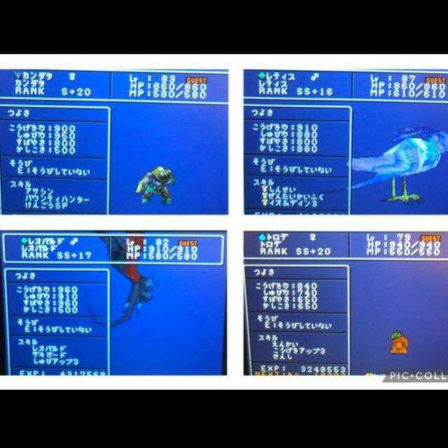 1Dragon Quest Monster Jokers