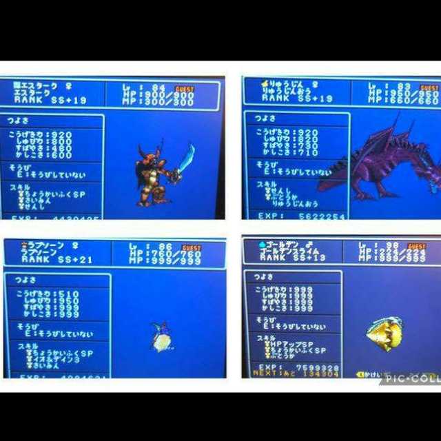 1Dragon Quest Monster Jokers