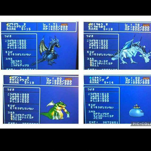 1Dragon Quest Monster Jokers