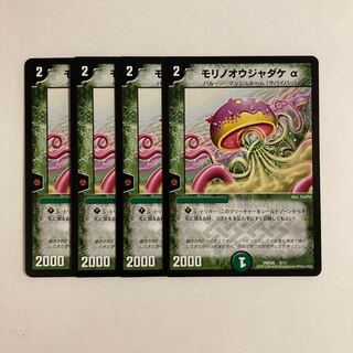 C263 Morino Oujadake Alpha, set of 4, DUEMA, Toretore.