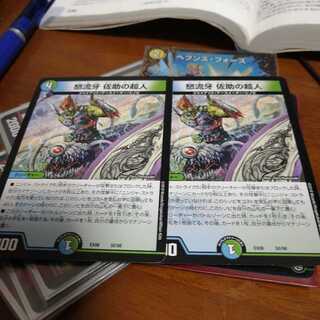 ドルゲ　サルトビジャイアント2枚