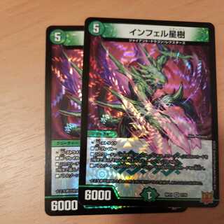 Infelix star tree (species of sedge, Infelix infertilis)