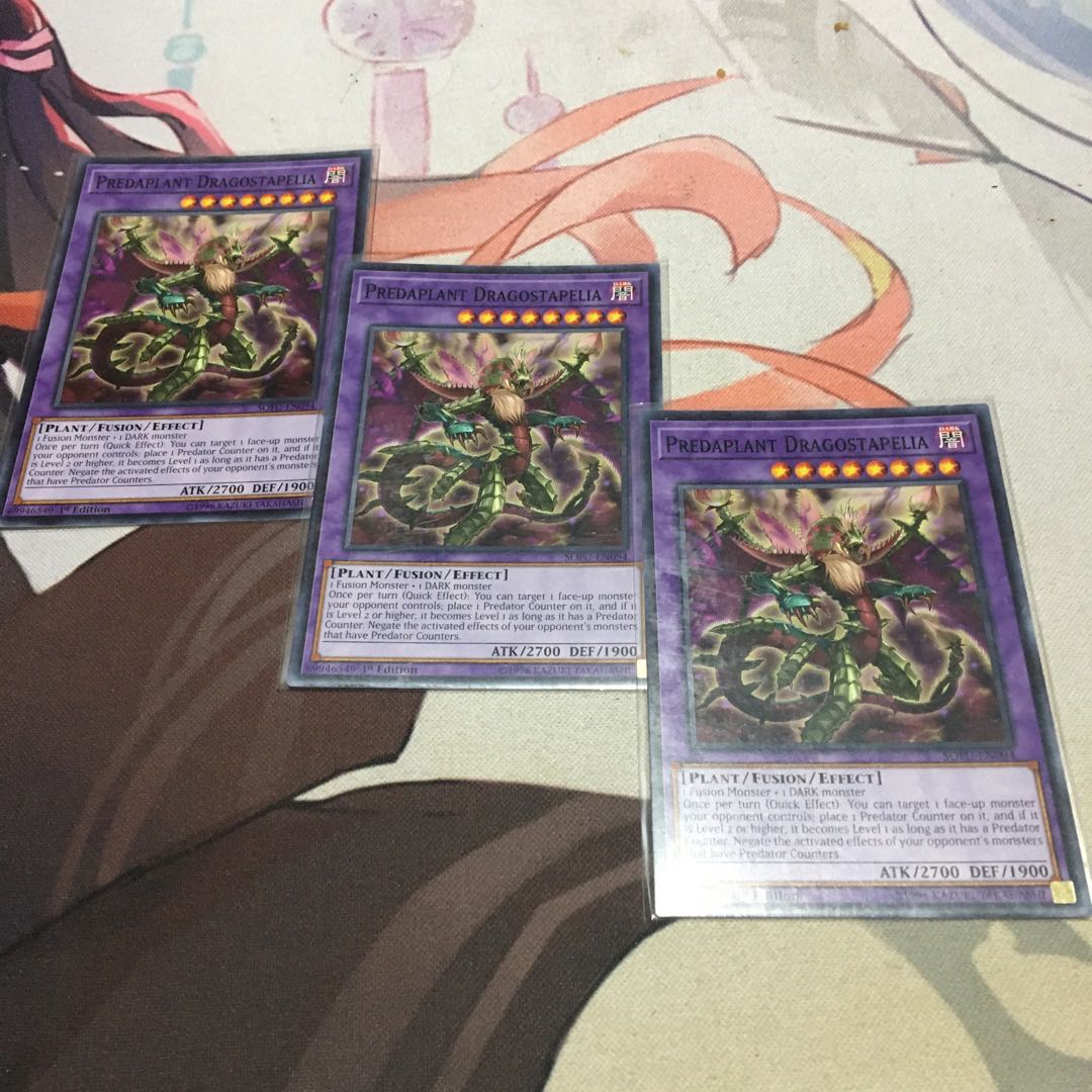 English Predaplant Dragostapelia Normal