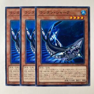 Lantern Shark ☆7224