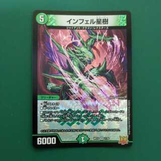 Infelix star tree (species of sedge, Infelix infertilis)