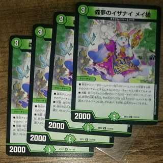 Izanai of Forest Dreams Dear Rosa