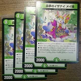 Izanai of Forest Dreams Dear Rosa