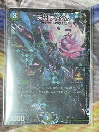 Natural Disaster Dedham Promo