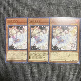 Ash Blossom & Joyous Spring