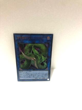 捕食植物ヴェルテアナコンダ【ウルトラ】{LVP3-JP071}《リンク》