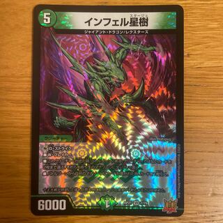 Infelix star tree (species of sedge, Infelix infertilis)