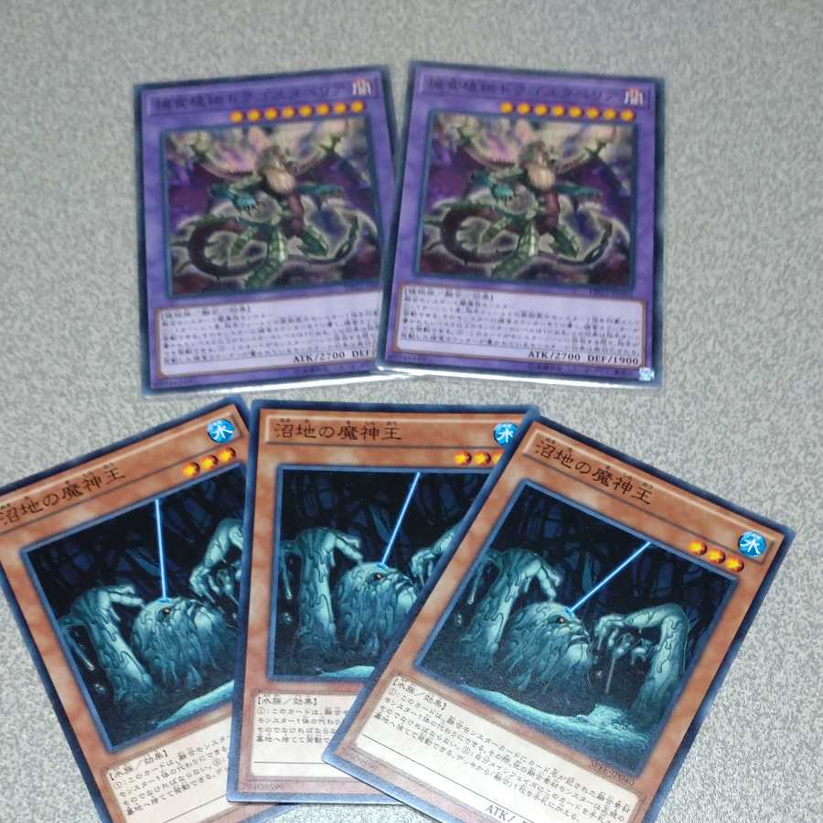 Predaplant Dragostapelia Normal