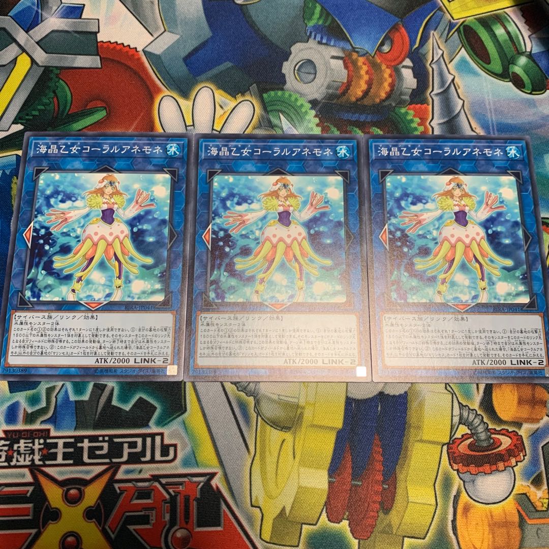 海晶乙女コーラルアネモネ