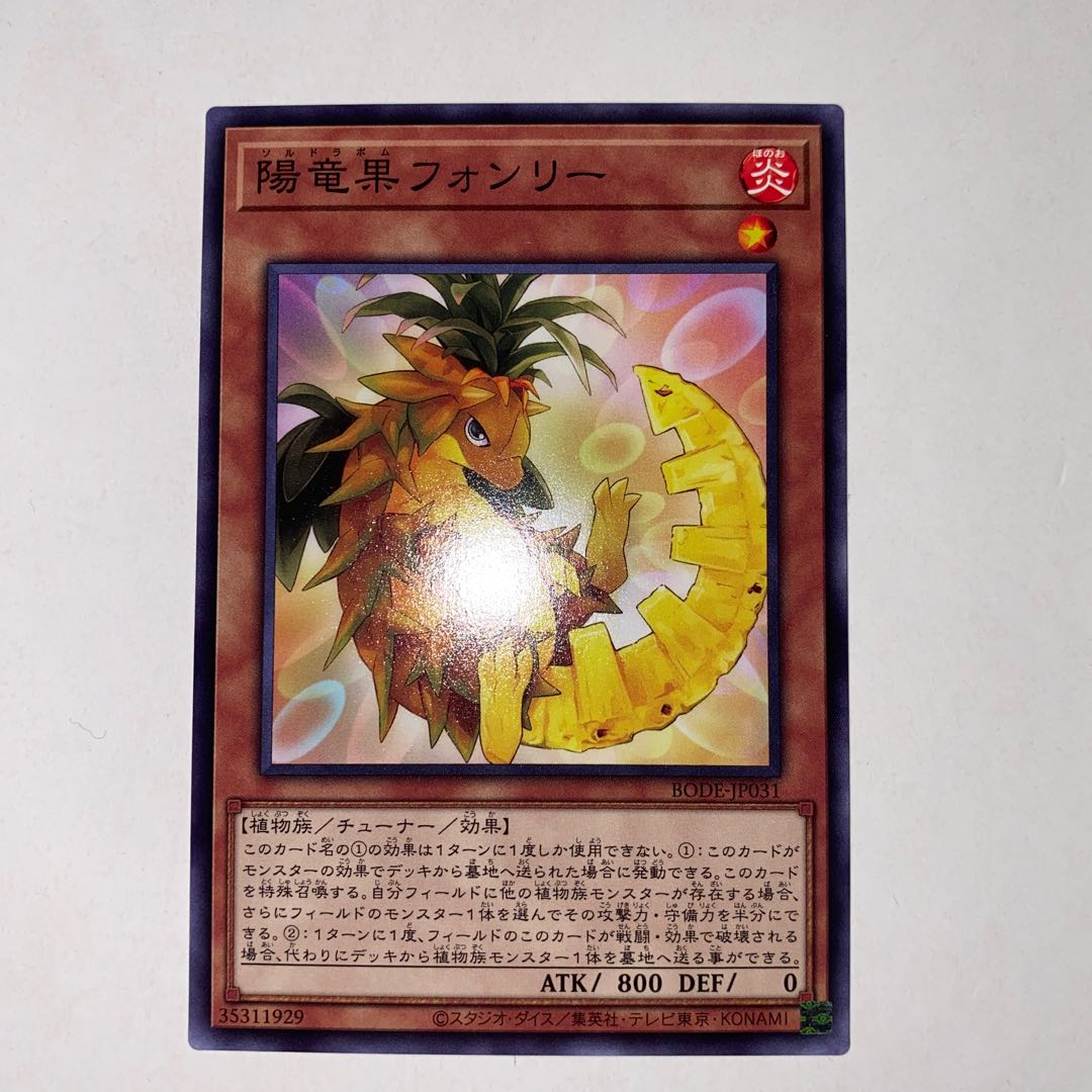 陽竜果フォンリー