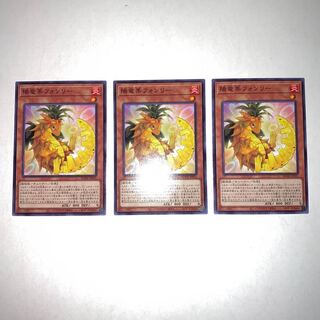 陽竜果フォンリー