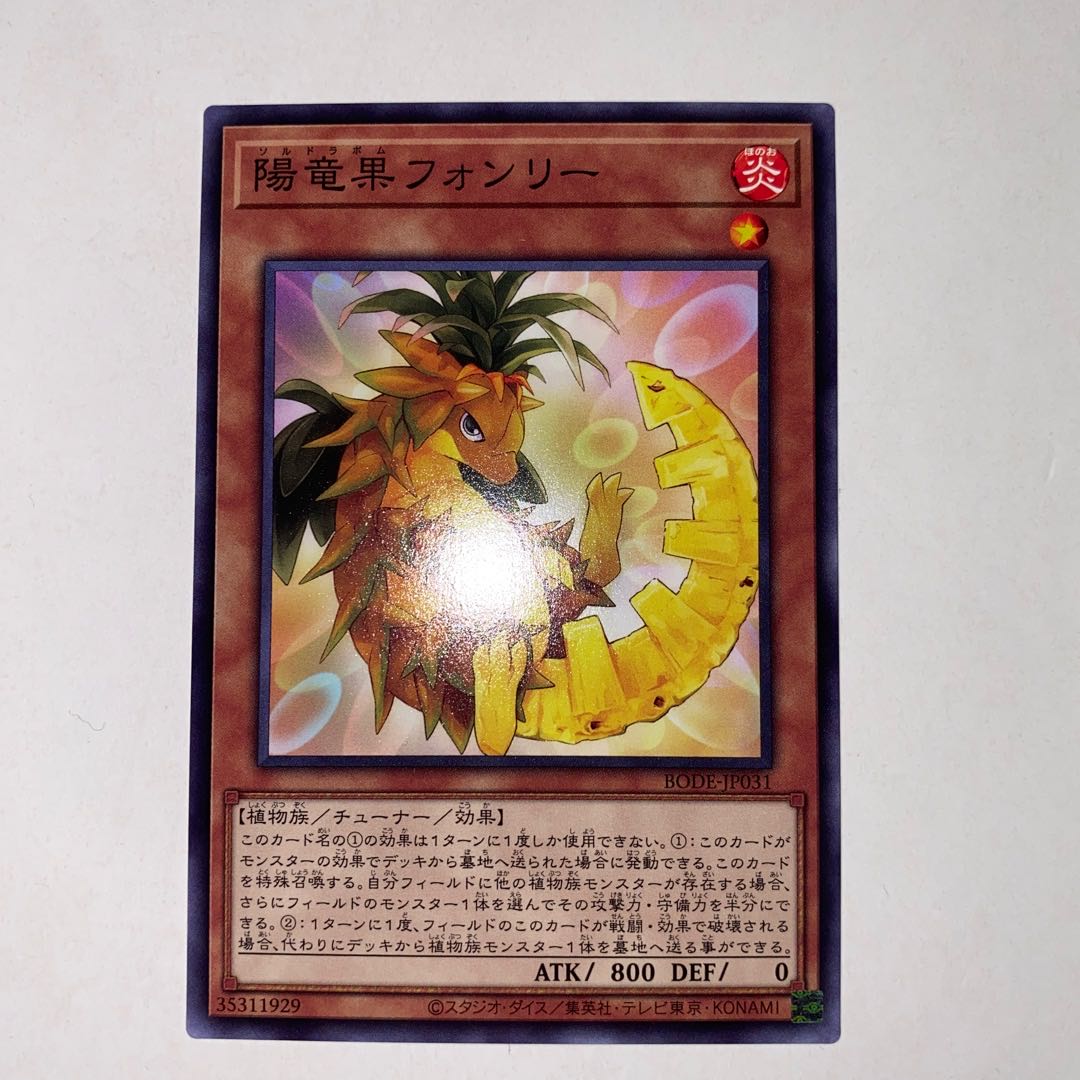 陽竜果フォンリー