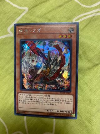 Yu-Gi-Oh! Ghost Ogre & Snow Rabbit Secret Different Illustration