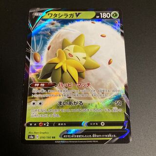 ワタシラガV RR 2