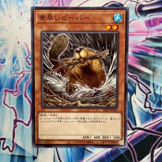 Nimble Beaver Special Price