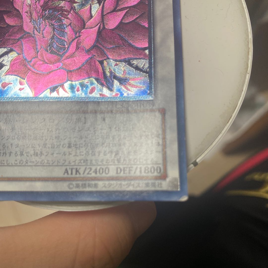 Black Rose Dragon Relief Ultimate Rare