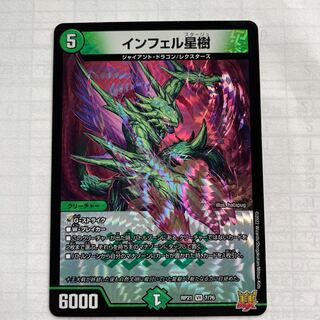 Infelix star tree (species of sedge, Infelix infertilis)