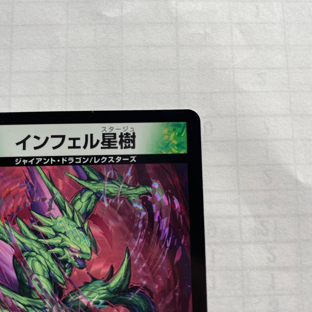 Infelix star tree (species of sedge, Infelix infertilis)