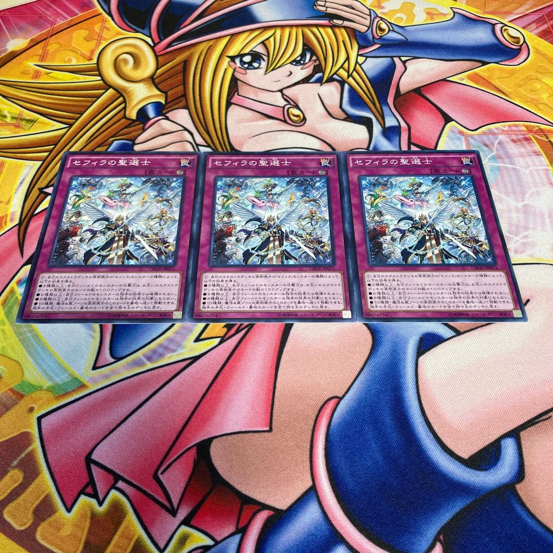 セフィラの聖選士