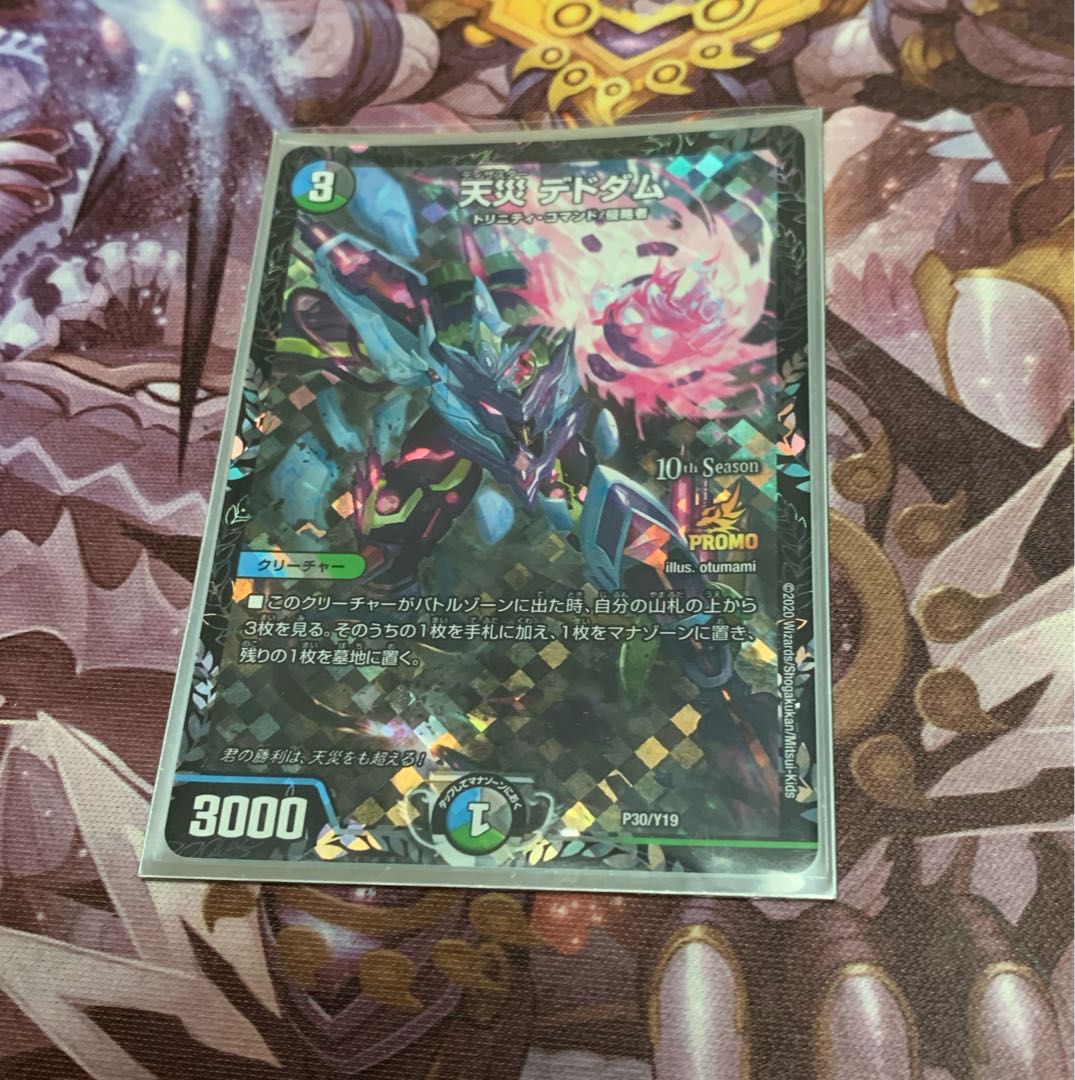 Natural Disaster Dedham