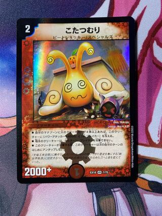 someone who curls up under a kotatsu all winter