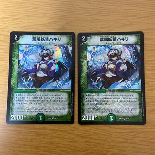 2 leaf-narrowing fairy hakiri