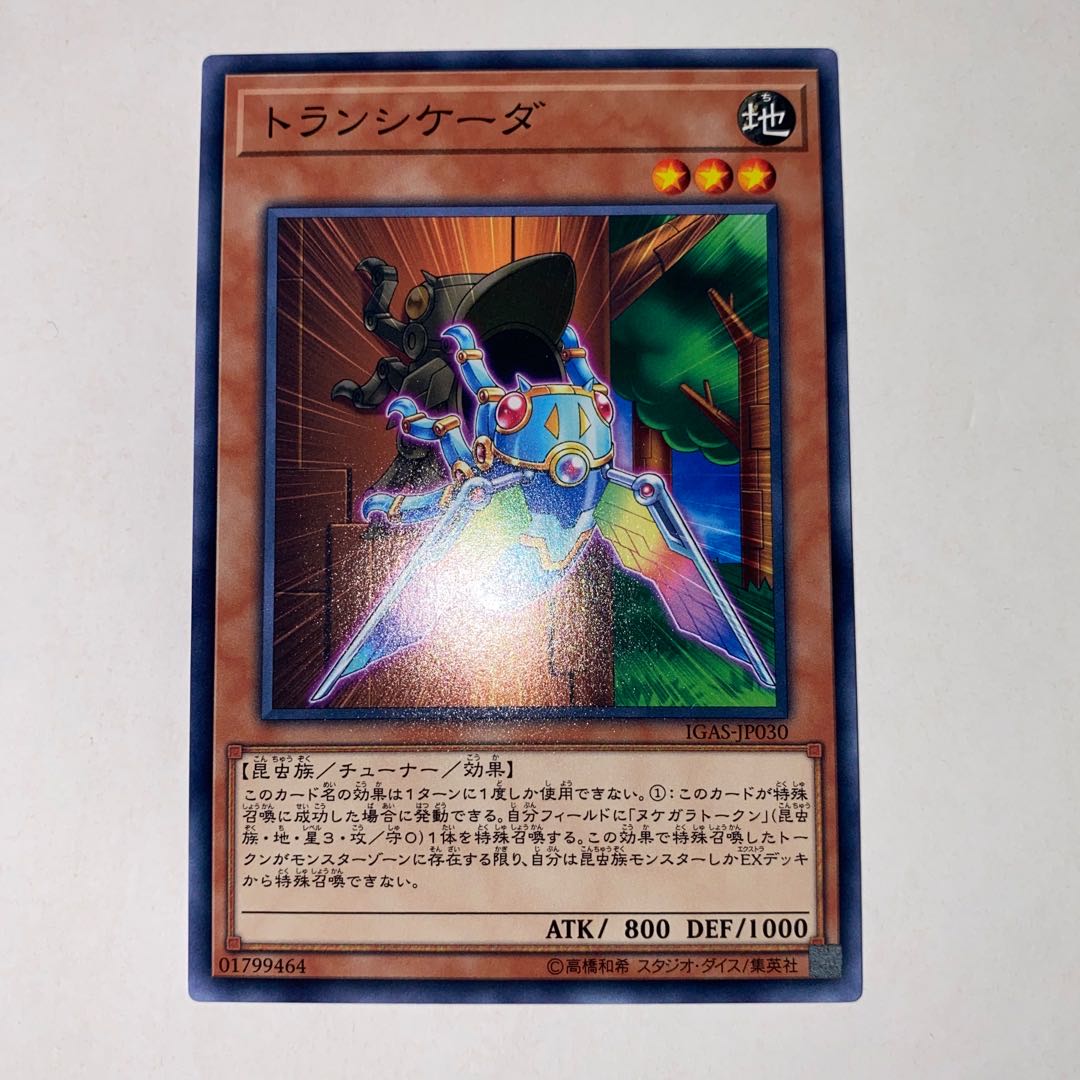 Transcicada Normal JP030