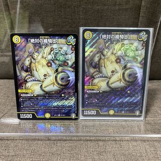 Absolute shield knight