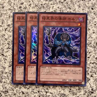 Ceruli, Guru of Dark World