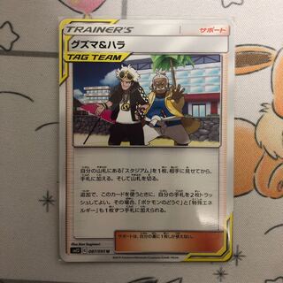 たぴ様専用⑤ グズマ＆ハラ