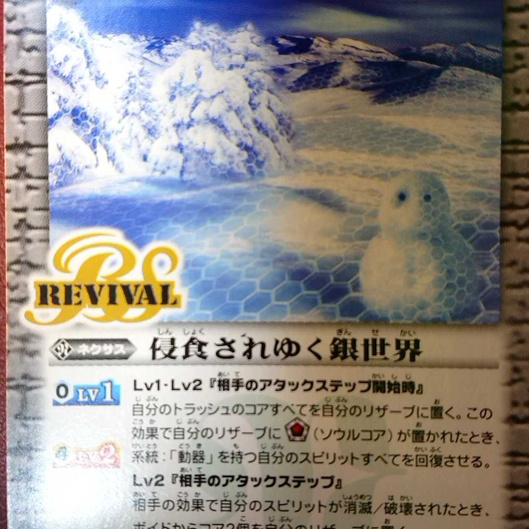 侵食されゆく銀世界 1枚