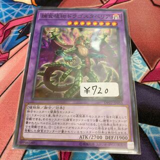 Predaplant Dragostapelia Normal 1 piece