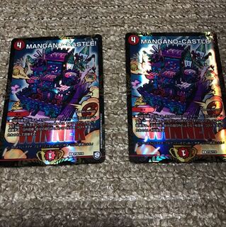 MANGANO-CASTLE  2枚  コバ@プロフ必読さま専用