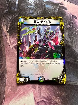 Natural Disaster Dedom (20th Black Treasure)