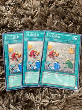 化石調査　ノーマル3枚