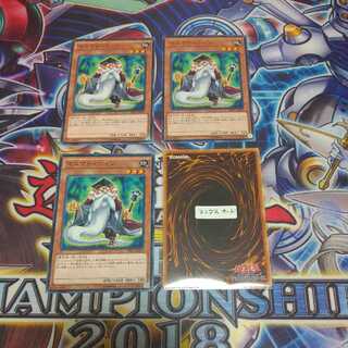 (N3 + 1) Mathematician